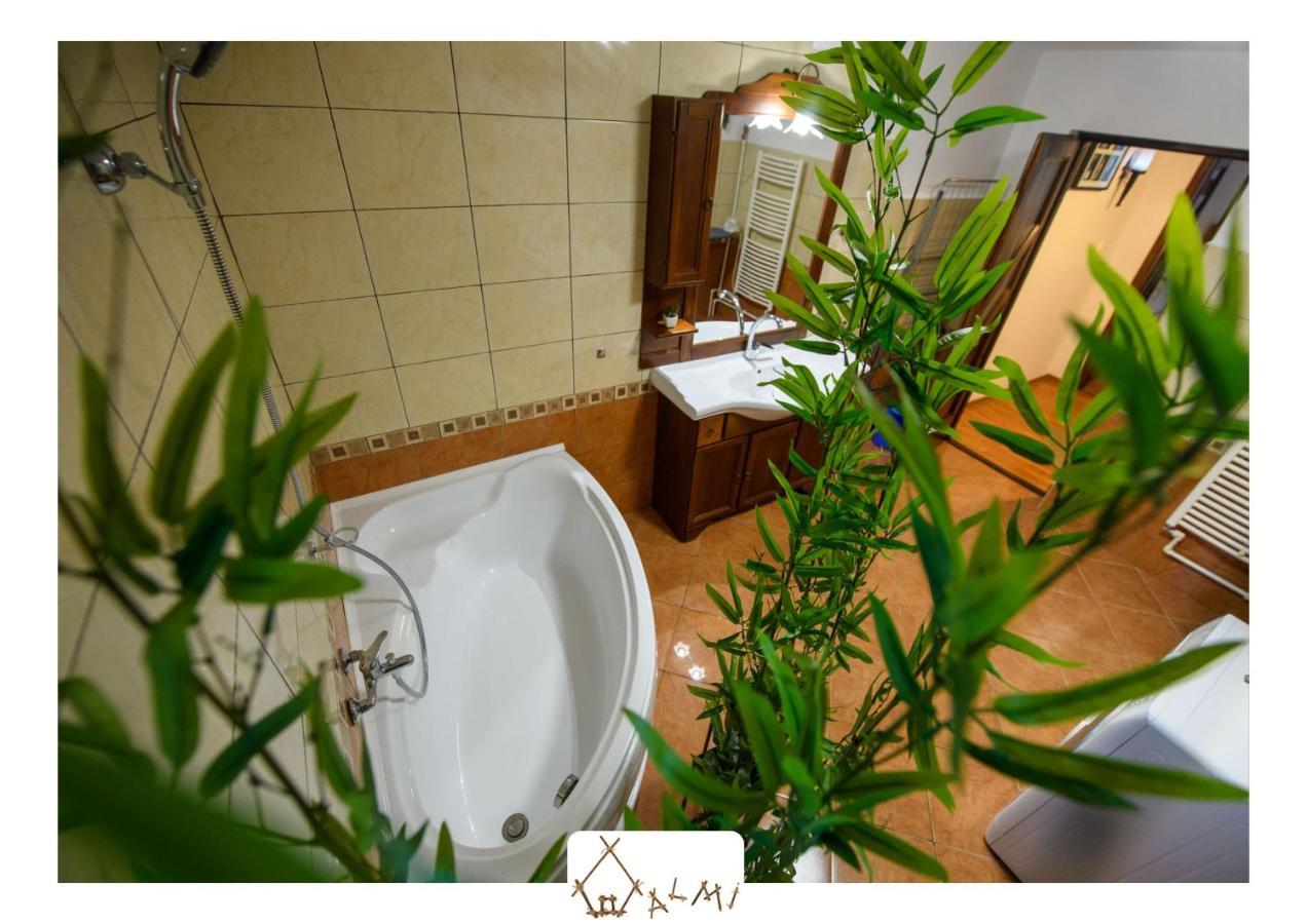 Apartmán Casa Almi - Deva Exteriér fotografie